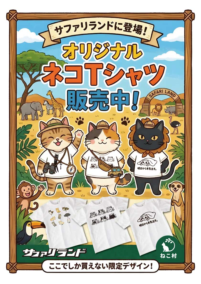 ねこTシャツチラシ（クリックで拡大）